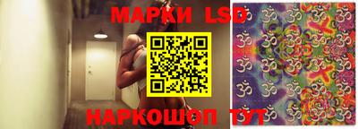 mdpv Краснознаменск