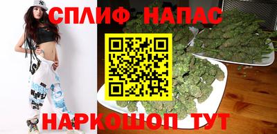 mdpv Краснознаменск