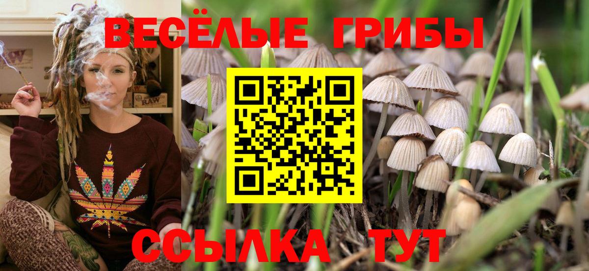 Хабаровск  Псилоцибиновые грибы Psilocybe  Вход с VPN 